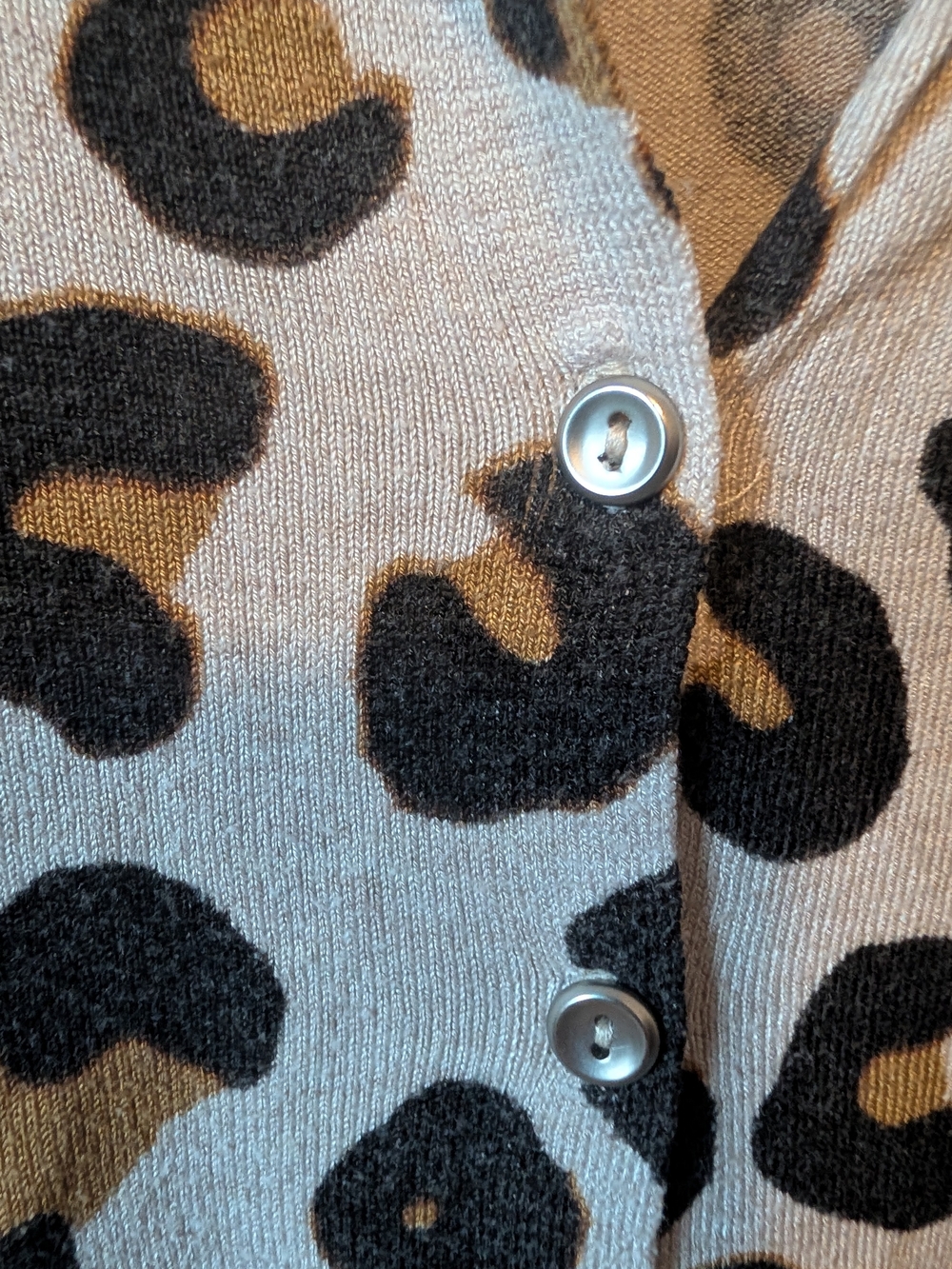Leopard-Print Button Cardigan - Beige/Black/Brown - Picture 6 of 6
